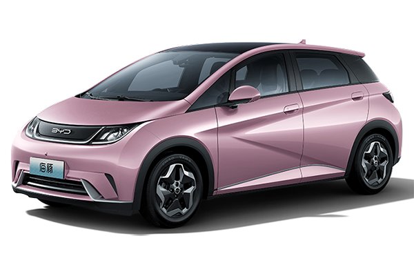 BYD 2021 BYD Dolphin