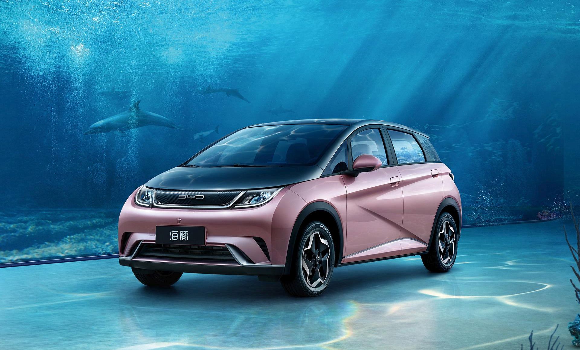 BYD BYD Dolphin 301km Vigorous Edition