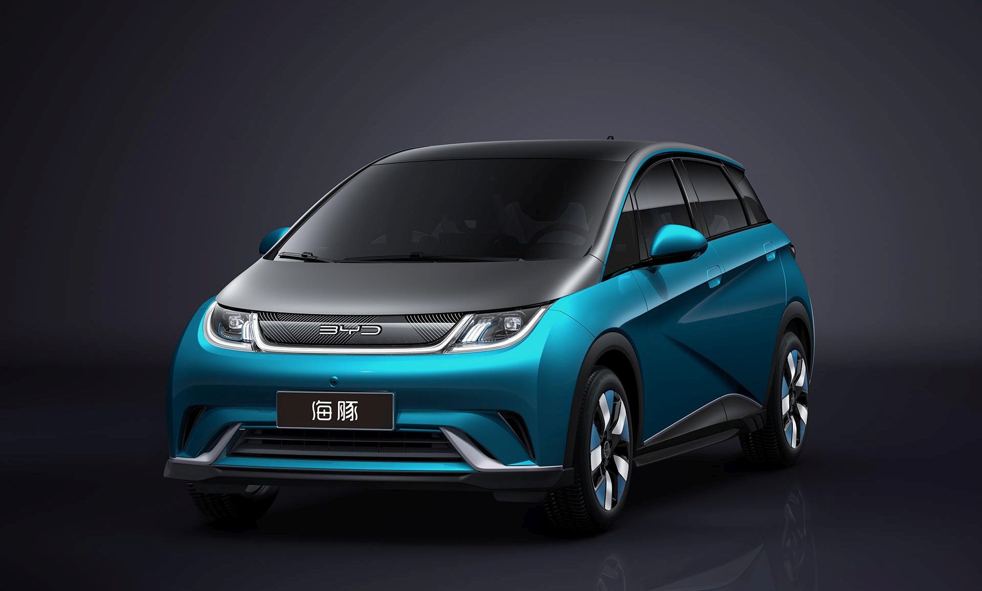 BYD BYD Dolphin 405km Freedom Edition